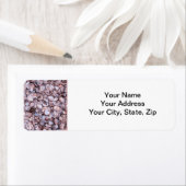 Seashell Rücksendeadresse Lables (Insitu)