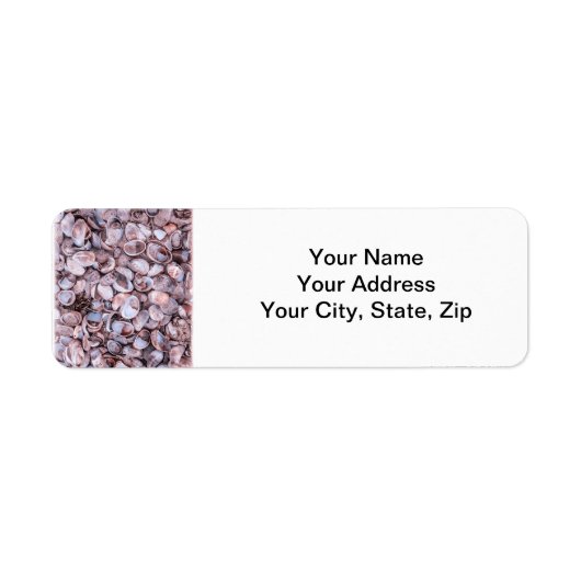 Seashell Rücksendeadresse Lables (Vorne)