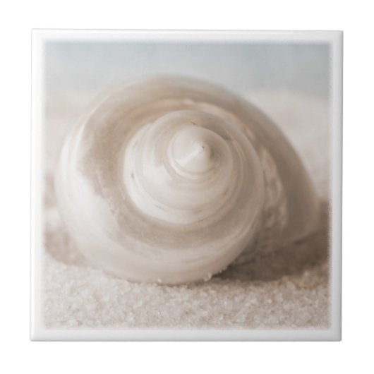 Seashell-Sand-Strand - tropische Muschel-Schablone Fliese (Vorderseite)