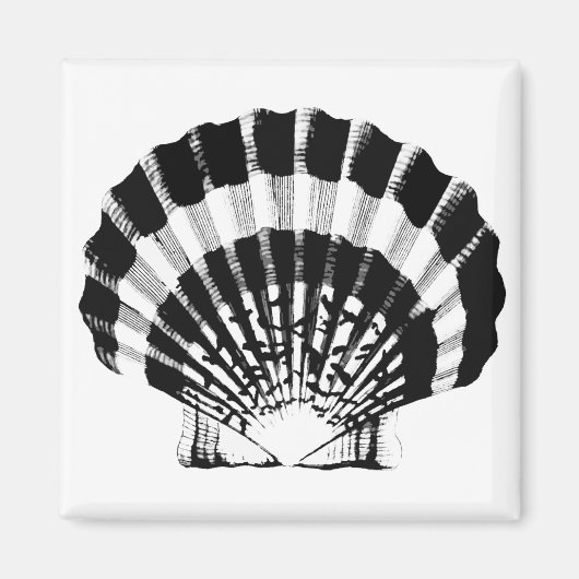 Seashell - schwarz und weiß magnet (Vorne)