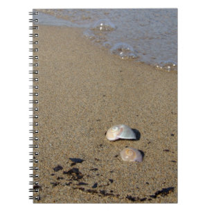 Seashell Seashore-Notebook Notizblock