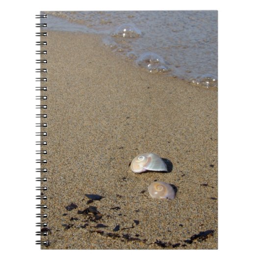 Seashell Seashore-Notebook Notizblock (Vorderseite)