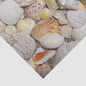 Seashell Seidenpapier (Ausschnitt)