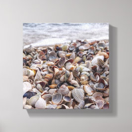 Seashell Serenade Leinwanddruck