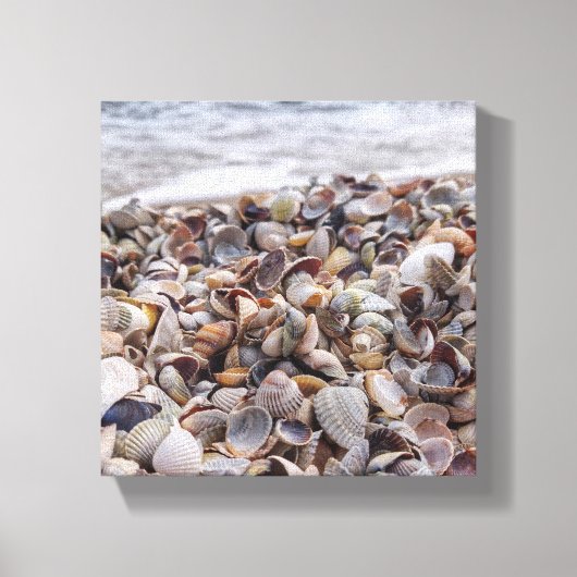 Seashell Serenade Leinwanddruck (Vorderseite)