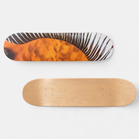 Seashell Skateboard (Horizontal)