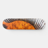Seashell Skateboard (Horizontal)