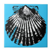 Seashell-Skizze Fliese (Vorderseite)