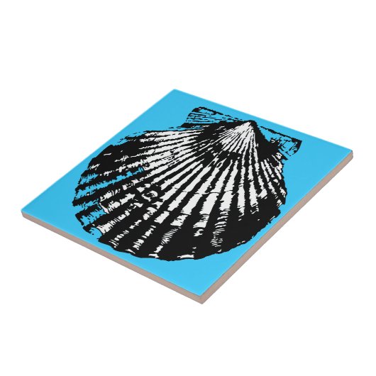 Seashell-Skizze Fliese (Seite)