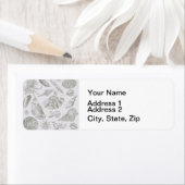 Seashell Soft Antique Art Beach Muscheln (Insitu)