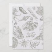 Seashell Soft Antique Art Beach Muscheln Einladung (Rückseite)