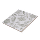 Seashell Soft Antique Art Beach Muscheln Fliese (Seite)