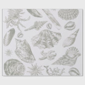 Seashell Soft Antique Art Beach Muscheln Geschenkpapier (Flach)