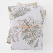 Seashell Soft Antique Art Beach Muscheln Geschenkpapier Set (Beispiel)