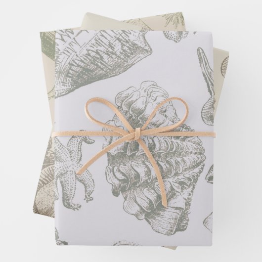 Seashell Soft Antique Art Beach Muscheln Geschenkpapier Set (Beispiel)