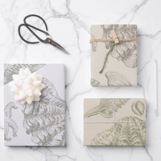 Seashell Soft Antique Art Beach Muscheln Geschenkpapier Set (Vorderseite)