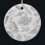 Seashell Soft Antique Art Beach Muscheln Keramikornament<br><div class="desc">Beach Seashell Classic Elegant Muschel Art - Ein Strandthema mit Vintagen Muschelkunstwerken.</div>
