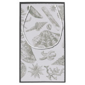 Seashell Soft Antique Art Beach Muscheln Kleine Geschenktüte (Rückseite)