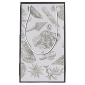 Seashell Soft Antique Art Beach Muscheln Kleine Geschenktüte (Vorderseite)
