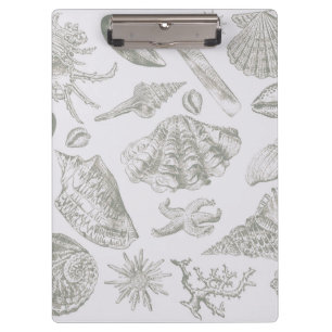 Seashell Soft Antique Art Beach Muscheln Klemmbrett