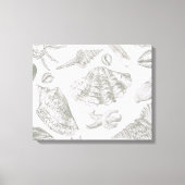 Seashell Soft Antique Art Beach Muscheln Leinwanddruck (Vorderseite)