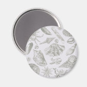 Seashell Soft Antique Art Beach Muscheln Magnet (Vorderseite/Rückseite)