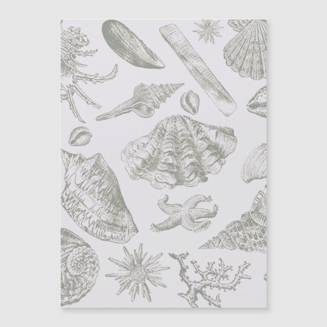 Seashell Soft Antique Art Beach Muscheln Magnetkarte (Vorderseite)