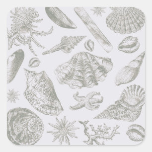 Seashell Soft Antique Art Beach Muscheln Quadratischer Aufkleber