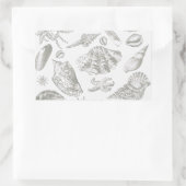 Seashell Soft Antique Art Beach Muscheln Rechteckiger Aufkleber (Tasche)