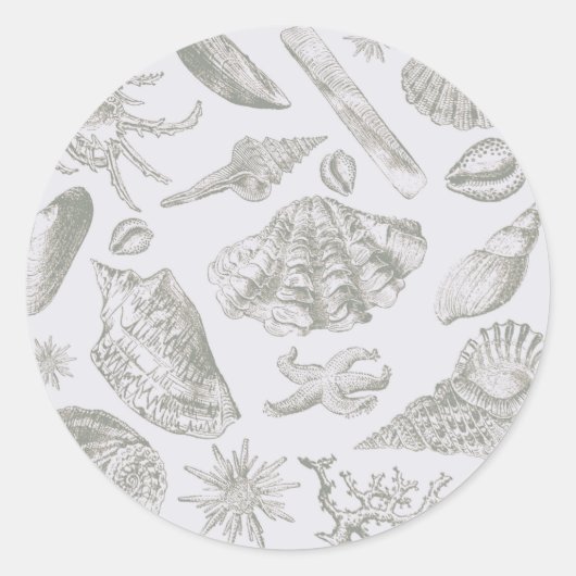 Seashell Soft Antique Art Beach Muscheln Runder Aufkleber (Vorderseite)