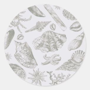 Seashell Soft Antique Art Beach Muscheln Runder Aufkleber