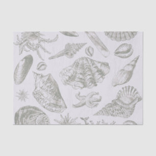 Seashell Soft Antique Art Beach Muscheln Seidenpapier