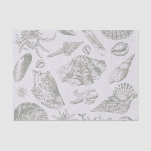 Seashell Soft Antique Art Beach Muscheln Seidenpapier (Vorderseite)