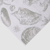 Seashell Soft Antique Art Beach Muscheln Seidenpapier (Ausschnitt)
