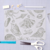 Seashell Soft Antique Art Beach Muscheln Seidenpapier (Handwerk)