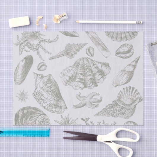 Seashell Soft Antique Art Beach Muscheln Seidenpapier (Handwerk)