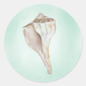 Seashell Sticker (Vorderseite)