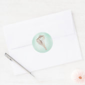 Seashell Sticker (Umschlag)