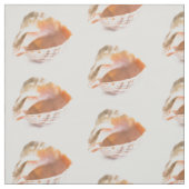 Seashell Stoff (Muster)