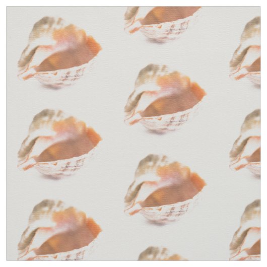 Seashell Stoff (Muster)