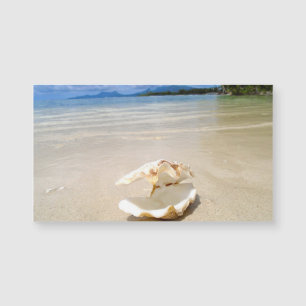 Seashell-Strand-Magnet-Visitenkarte Magnetkarte