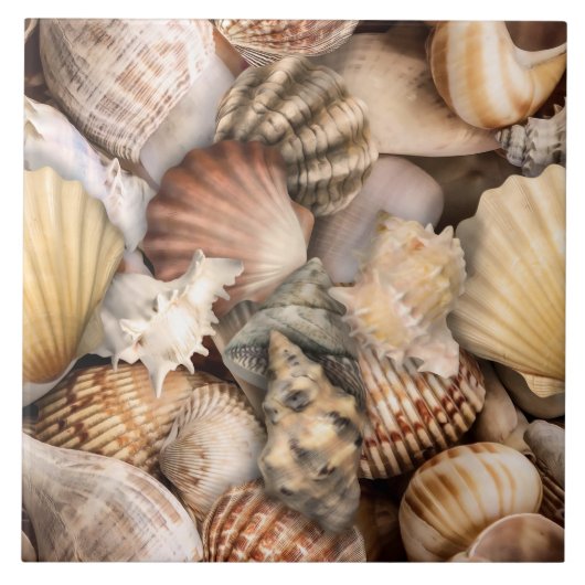 Seashell Symphonie Muster Fliese (Vorderseite)