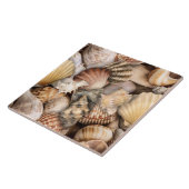 Seashell Symphonie Muster Fliese (Seite)