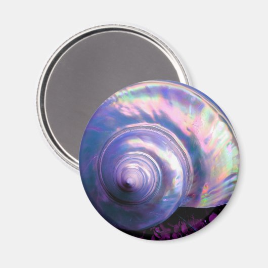 Seashell tropische Opal-Mutter Perle sieht lila au Magnet (Vorderseite/Rückseite)