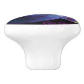 Seashell tropische opaleszente Mutter Perlmutt Keramikknauf (Seitenansicht)