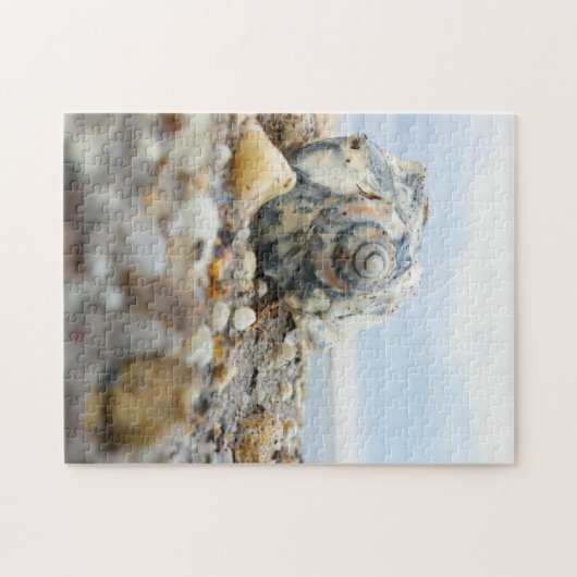 Seashell u. Kiesel Puzzle (Horizontal)