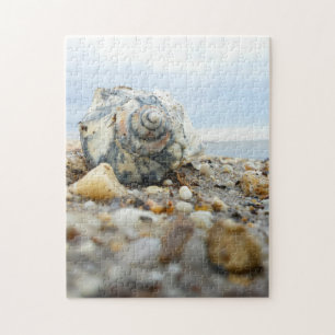 Seashell u. Kiesel Puzzle
