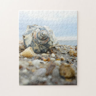 Seashell u. Kiesel Puzzle