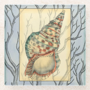 Seashell und Baumaste Glasuntersetzer