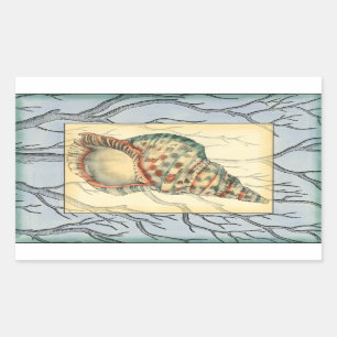 Seashell und Baumaste Rechteckiger Aufkleber